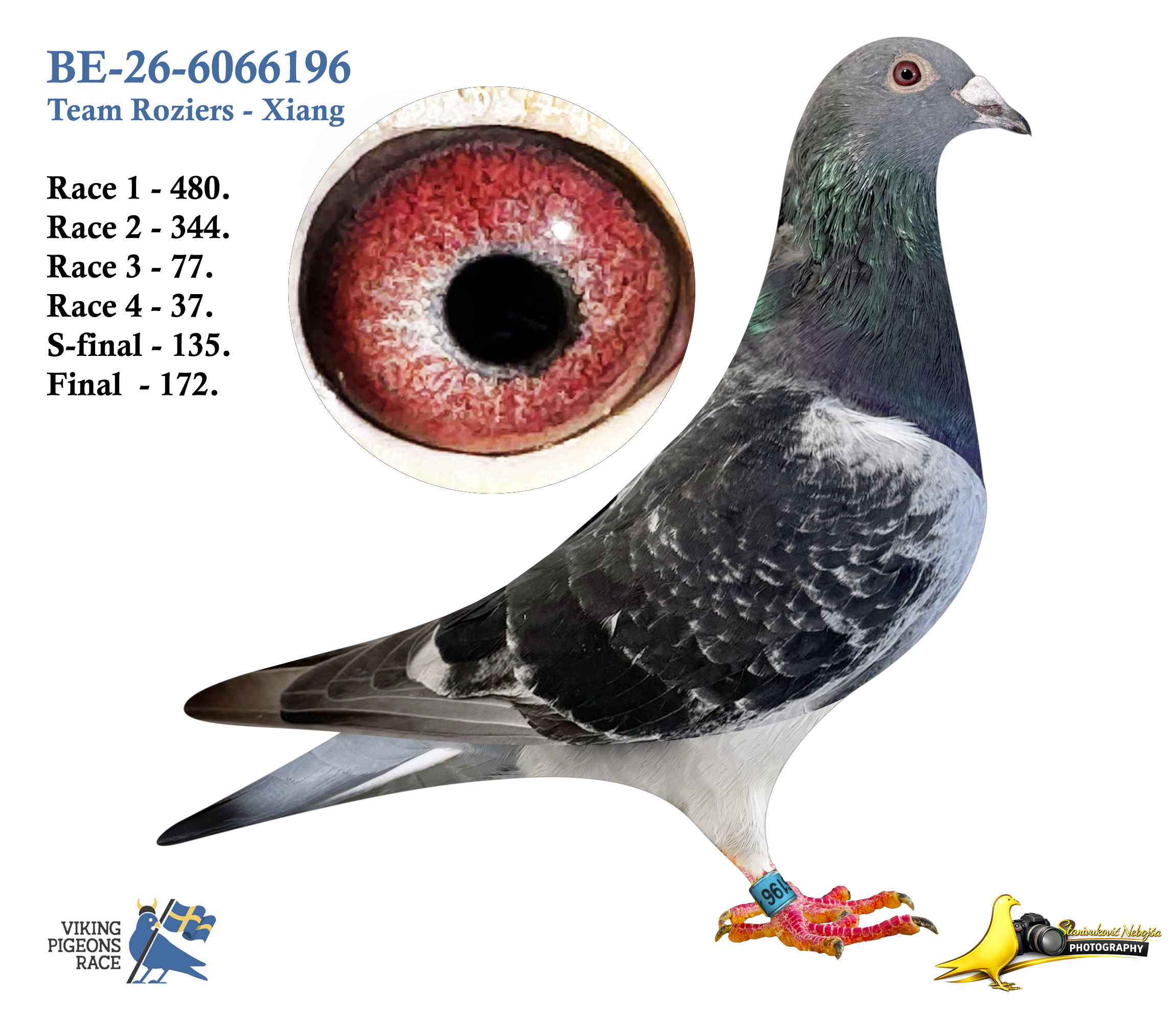 BE-26-6066196