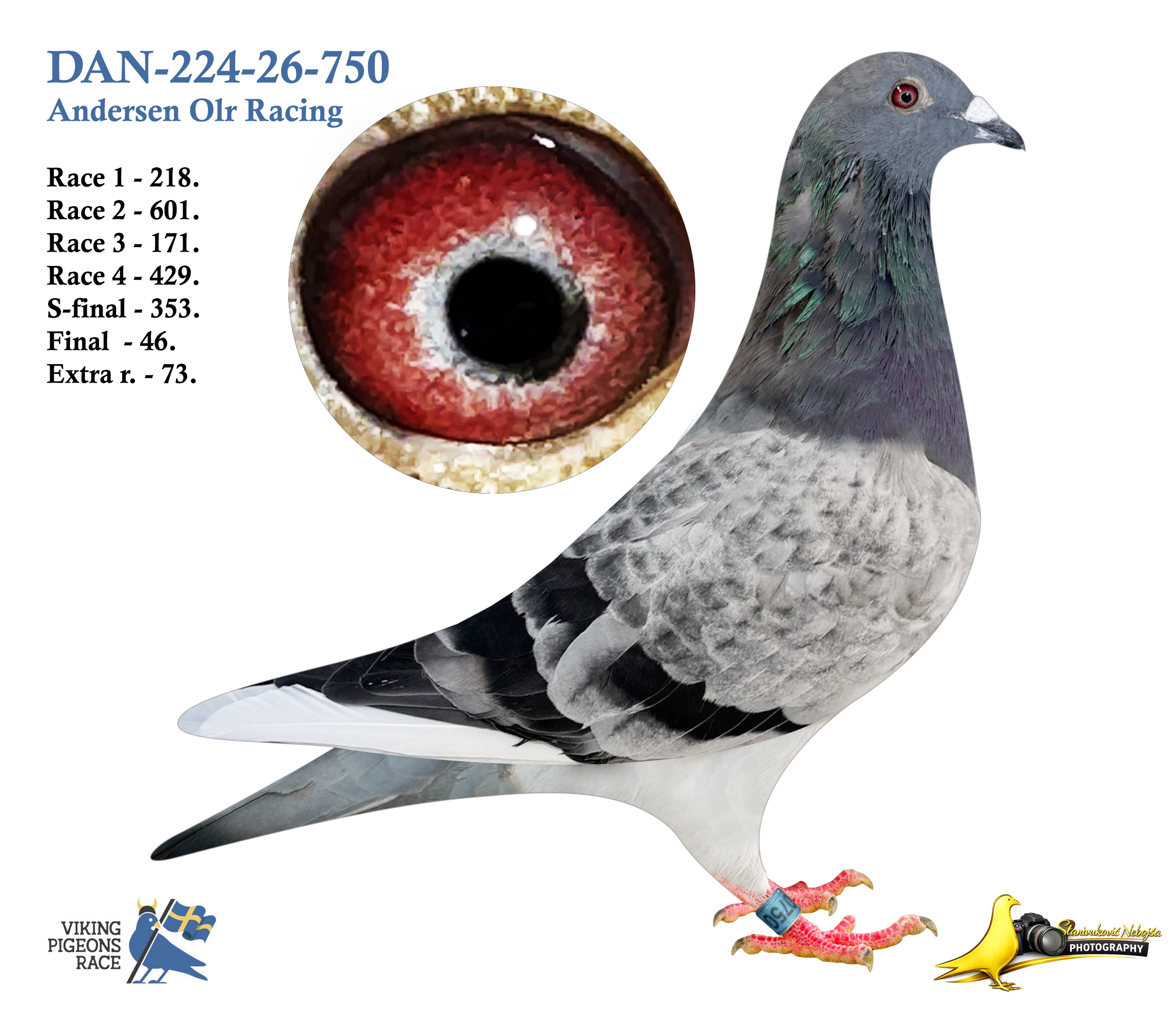 DAN-224-26-750