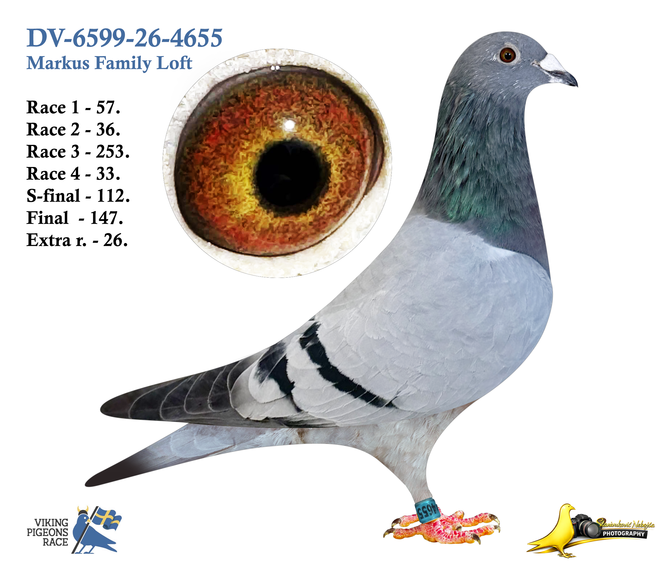 DV-6599-26-4655