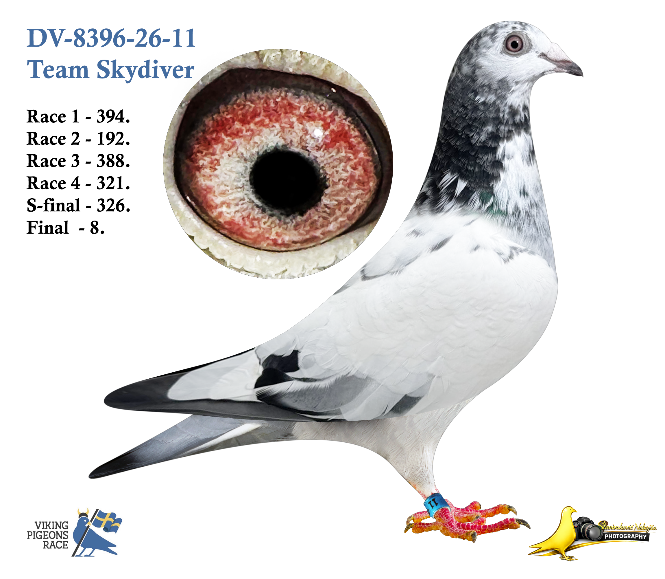 DV-8396-26-11