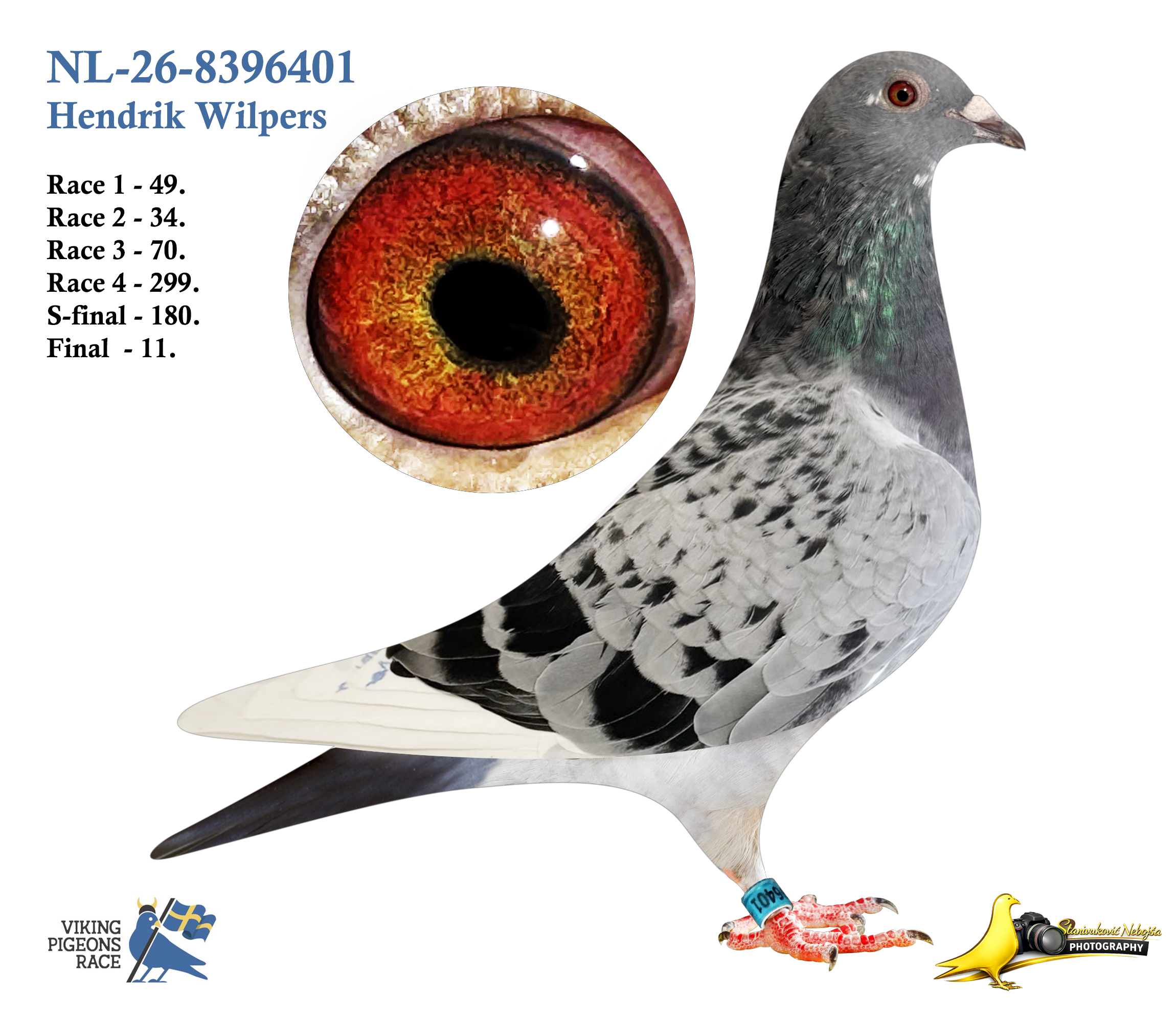 NL-26-8396401
