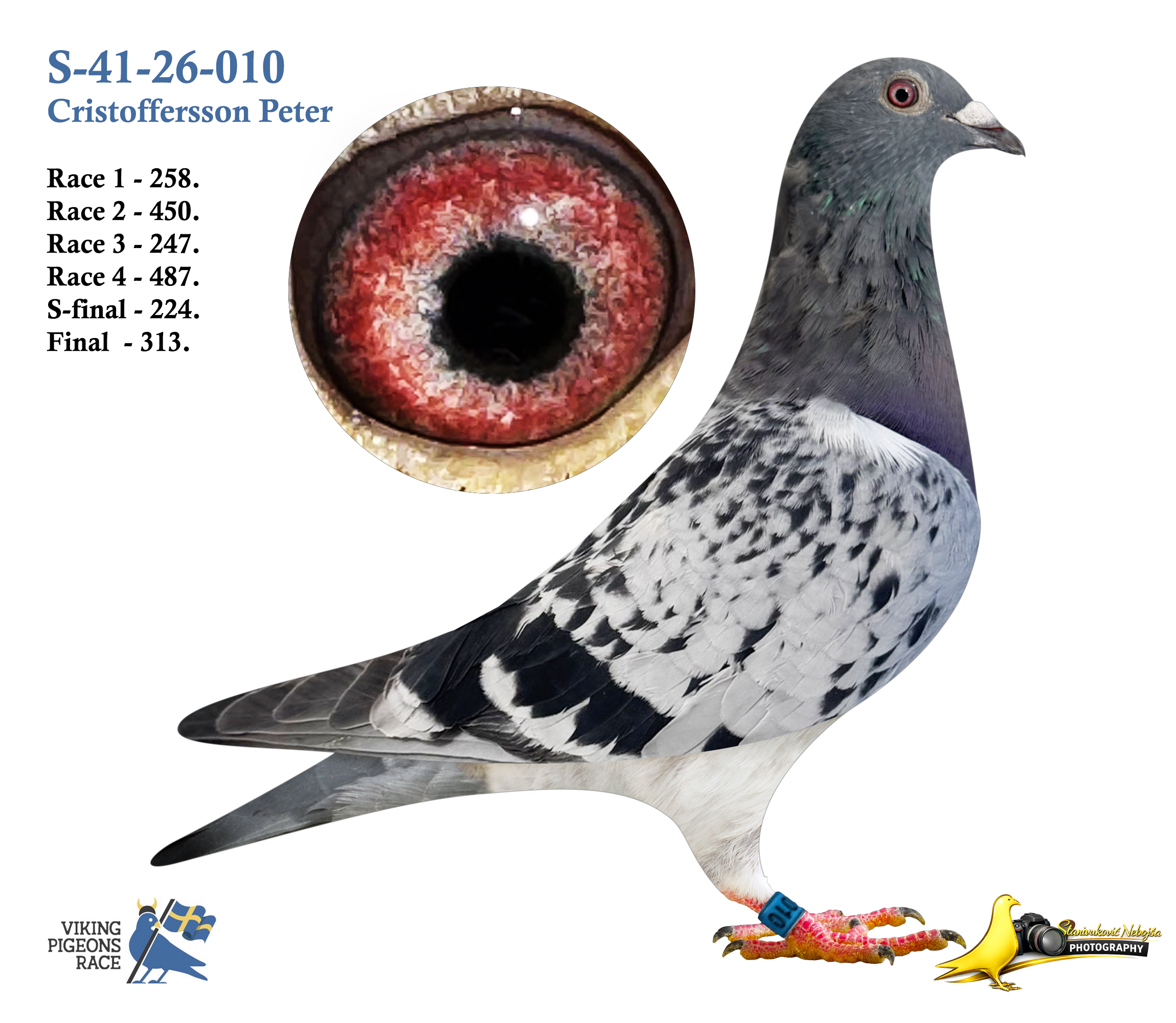 1.13   S-41-26-010   ♀︎   Cristoffersson Peter
