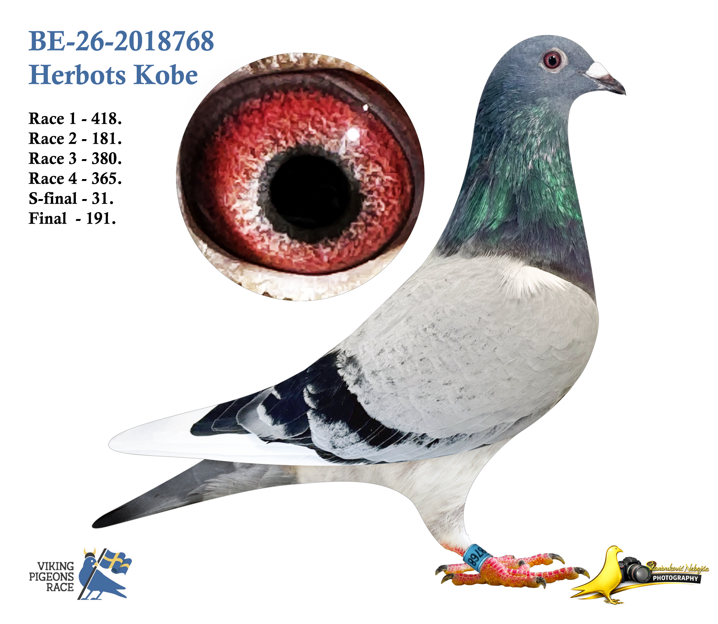 BE-26-2018768