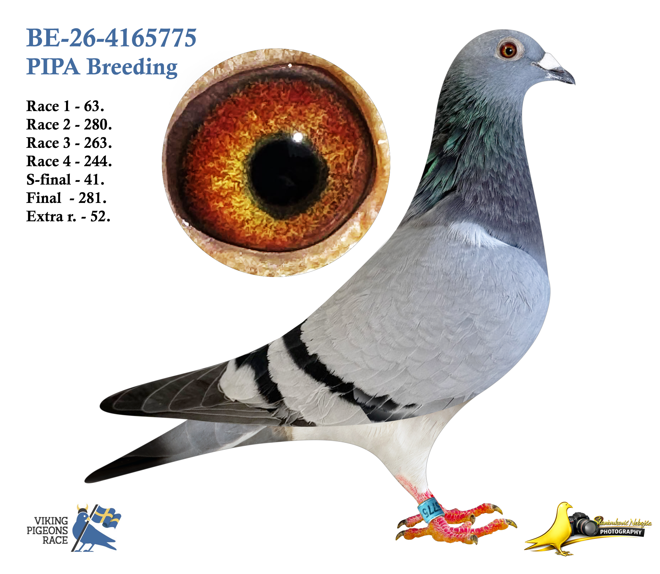 BE-26-4165775