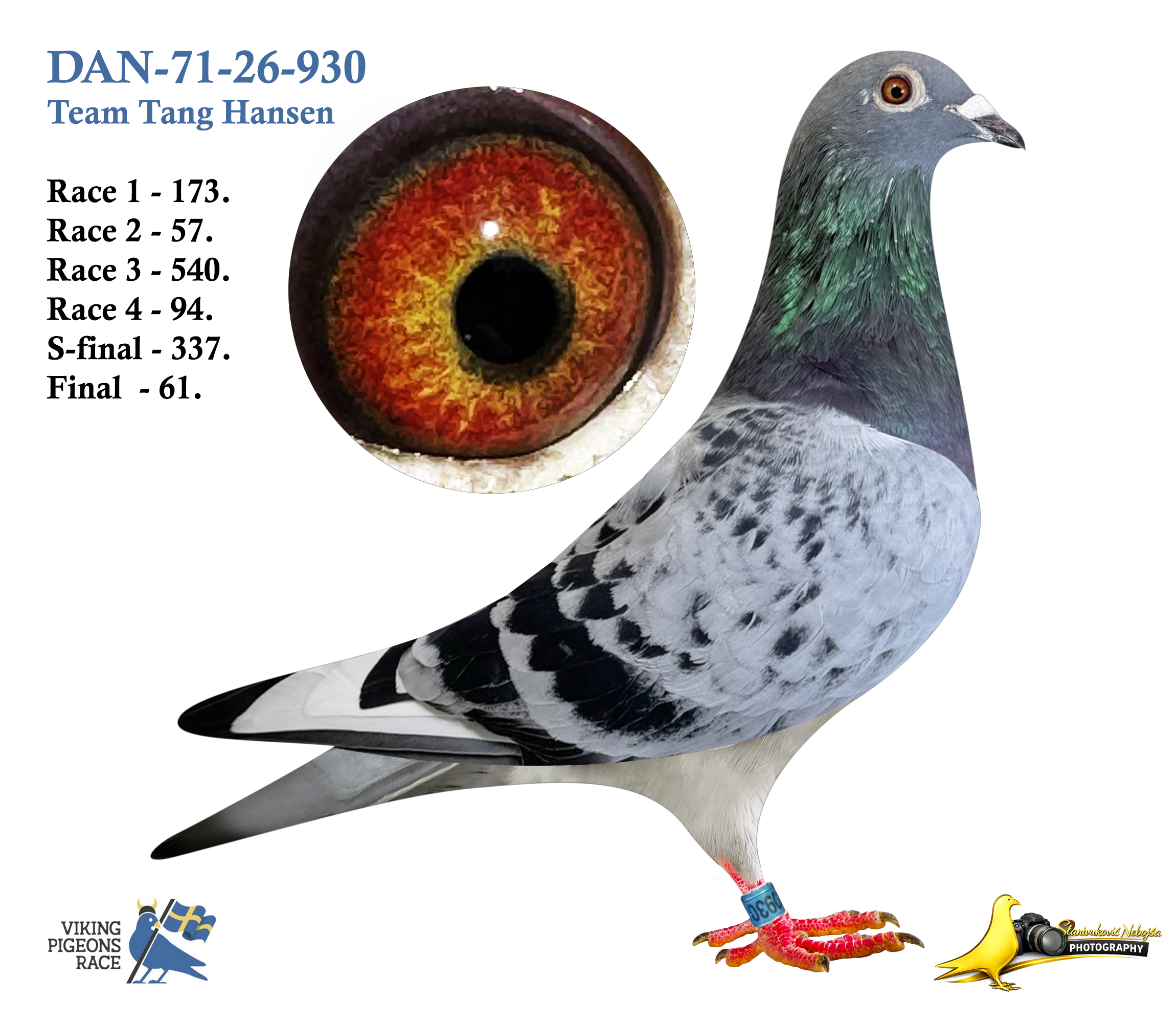 DAN-71-26-930