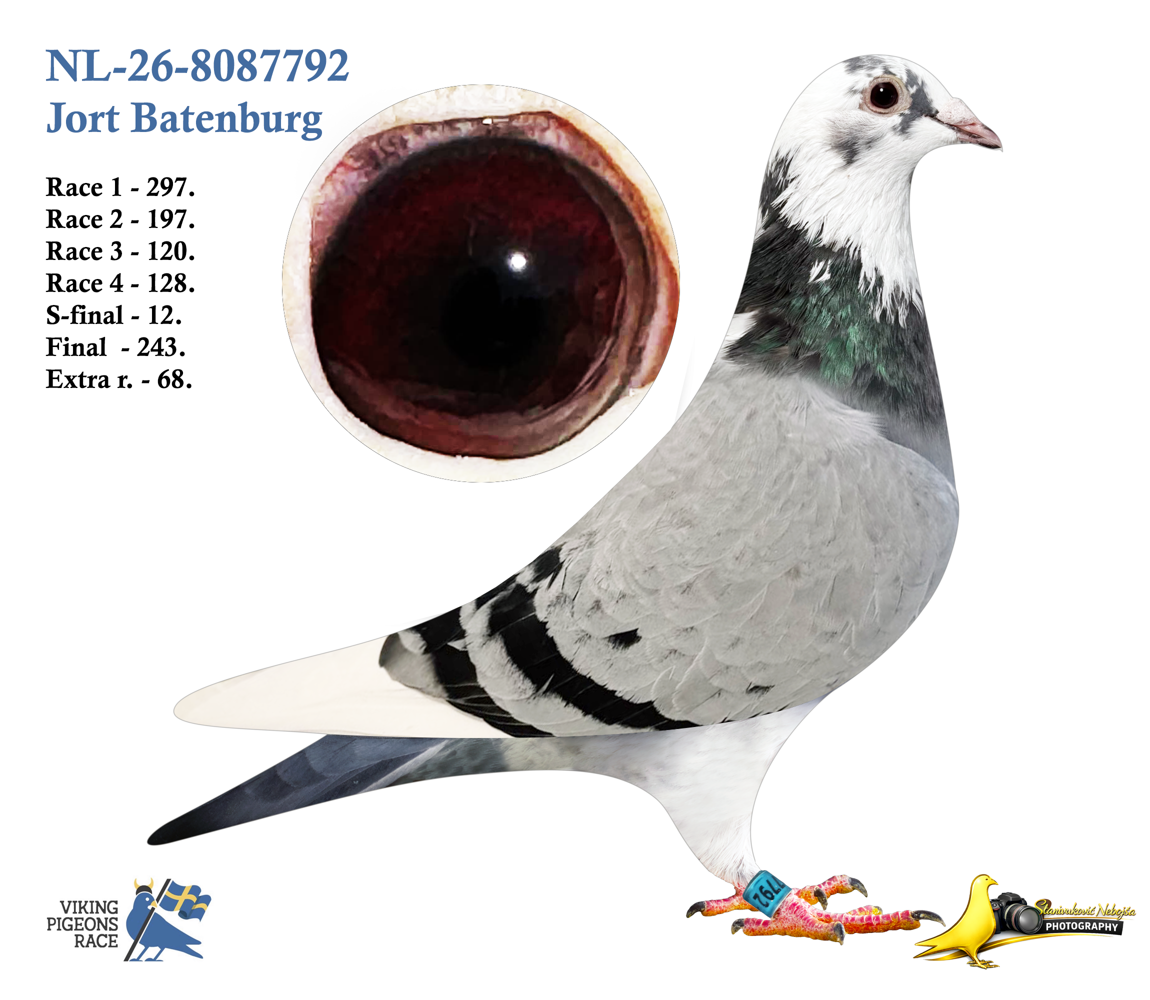 NL-26-8087792