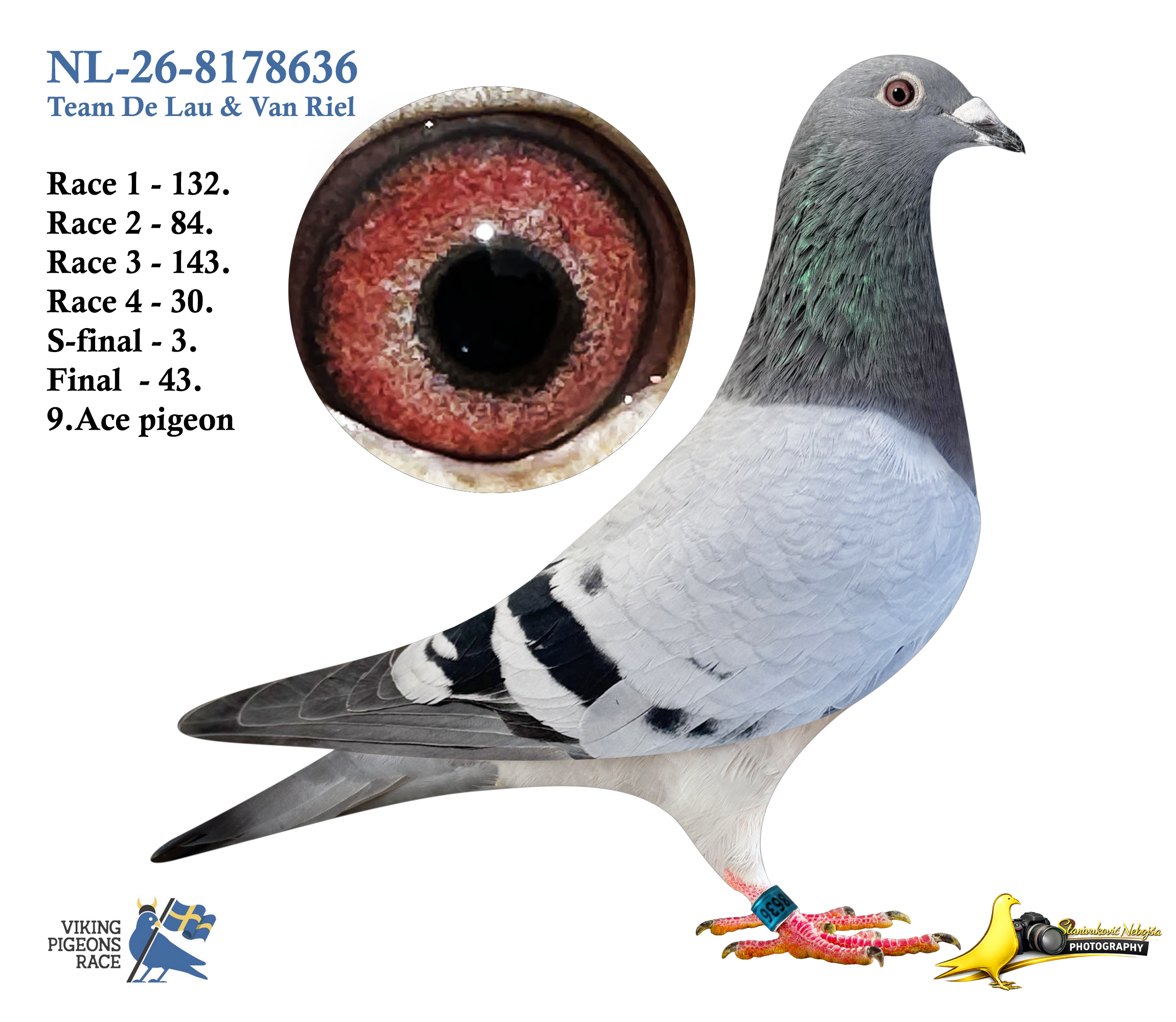 NL-26-8178636