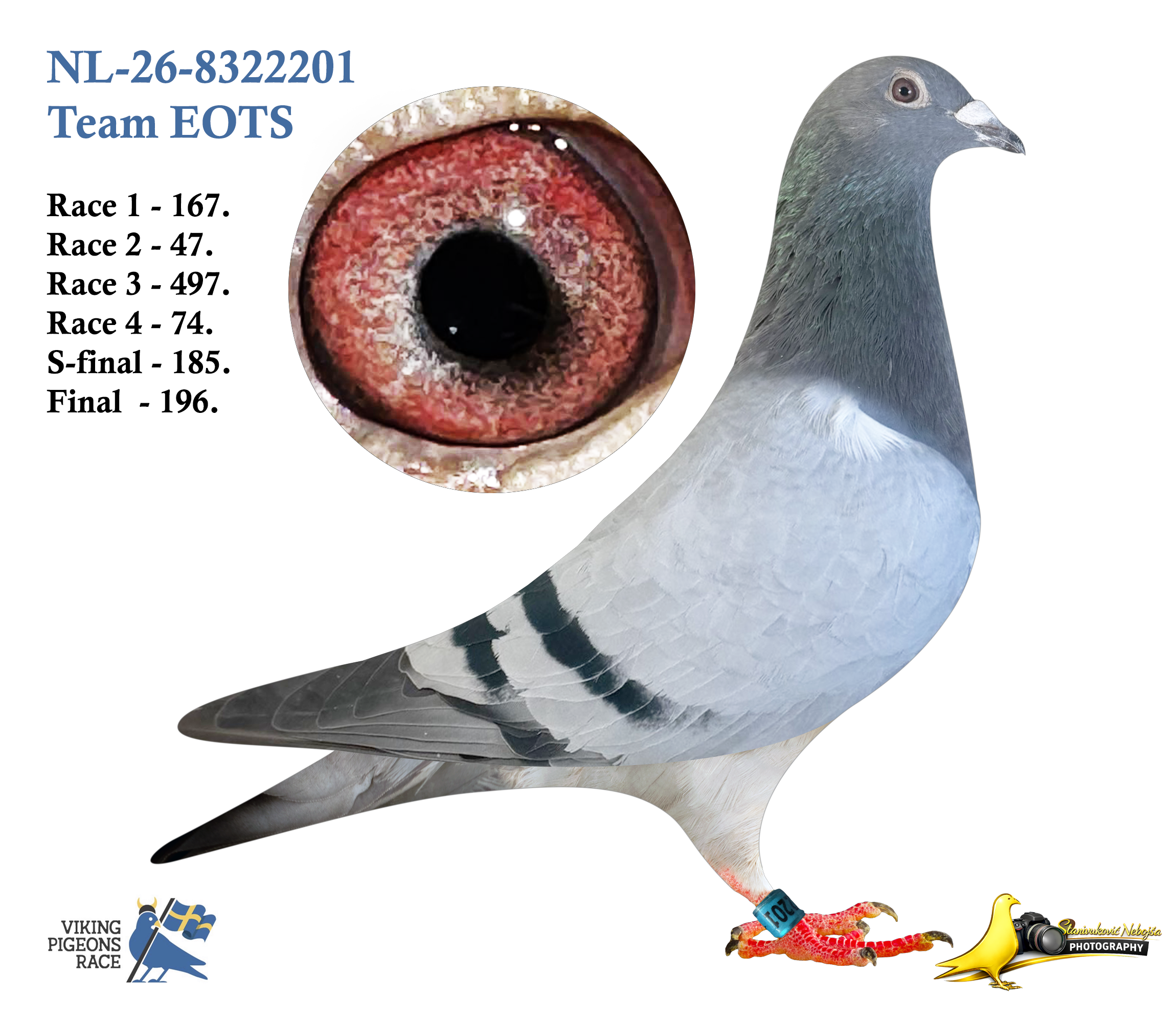 NL-26-8322201
